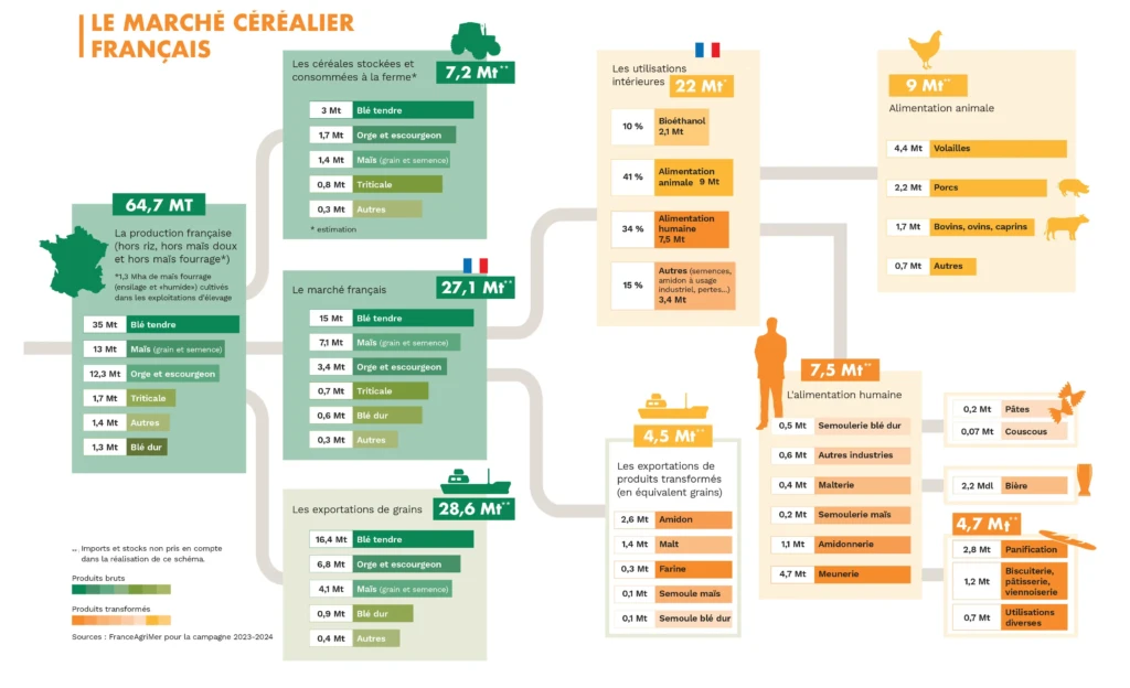 Infographie sur la vision claire du marché
des céréales françaises et de la diversité de leurs
utilisations.